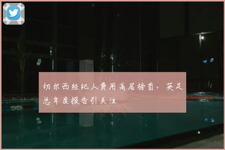 切尔西经纪人费用高居榜首,英足总年度报告引关注
