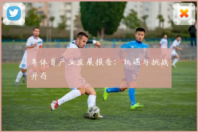 年体育产业发展报告:机遇与挑战并存