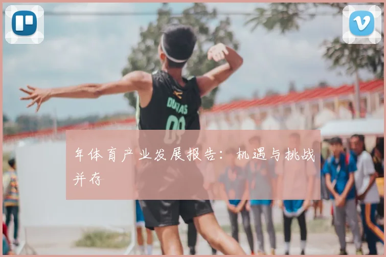 年体育产业发展报告:机遇与挑战并存